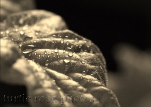 water droplet 4