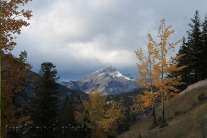 autumn in the mountains