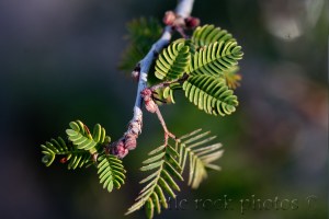 for the birthday boy