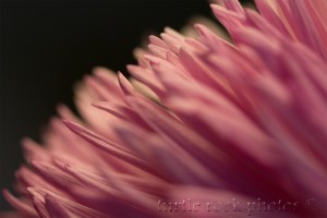 soft pink