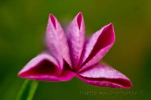 closed for the night